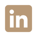 Social media icon